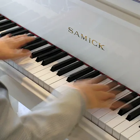 酒店 蒂法尼酒店 里乔内