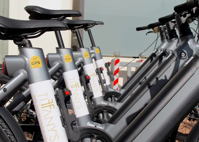 티파니스 호텔 4*